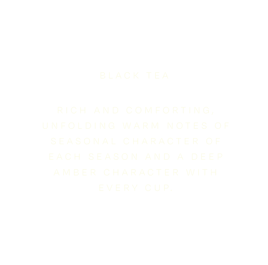Black Autumn Tea : 11th September