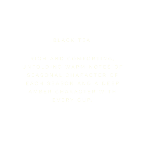 Black Autumn Tea : 10th September